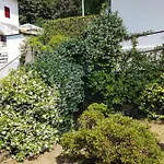 La Palma * Miazzina