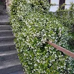 La Palma Dom wakacyjny Miazzina