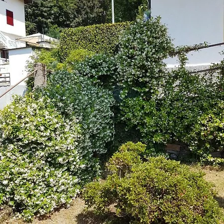 La Palma * Miazzina