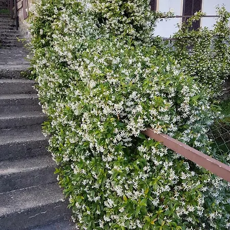 La Palma Prázdninový dům Miazzina