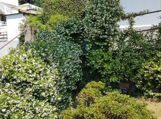 La Palma * Miazzina
